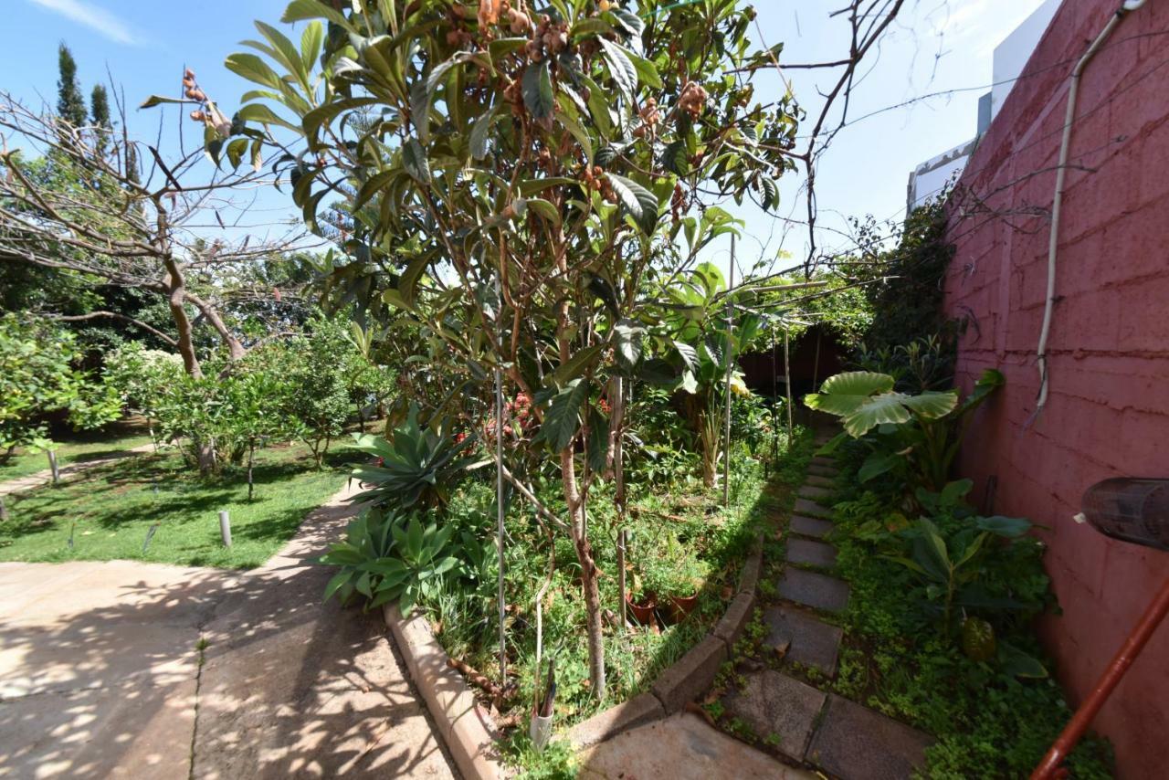 הוילה Gáldar Casa El Tonelero Con Jardin Y Piscina Privada מראה חיצוני תמונה
