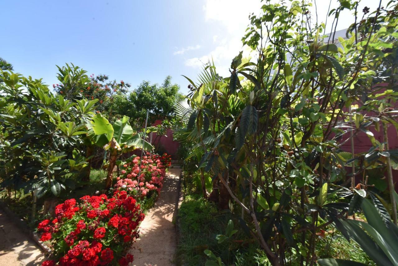 הוילה Gáldar Casa El Tonelero Con Jardin Y Piscina Privada מראה חיצוני תמונה