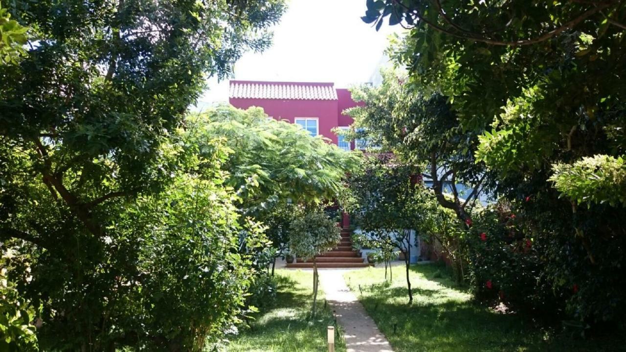 הוילה Gáldar Casa El Tonelero Con Jardin Y Piscina Privada מראה חיצוני תמונה
